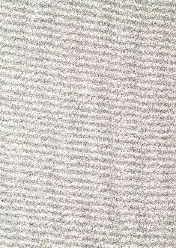 純白畫布-駝